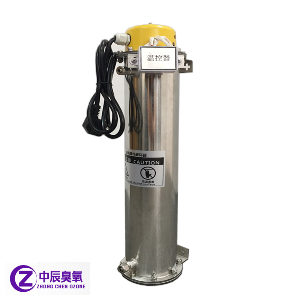 經典款臭氧毀滅器、臭氧尾氣處理器